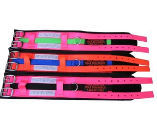 Defender Cut Collar - 4 Inch Double Strap