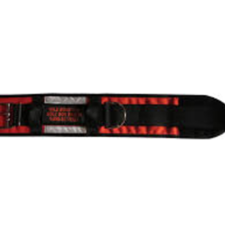 Small Dog/Puppy Collar