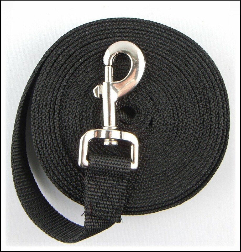 Dog Training Leash