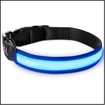 Dog Collars