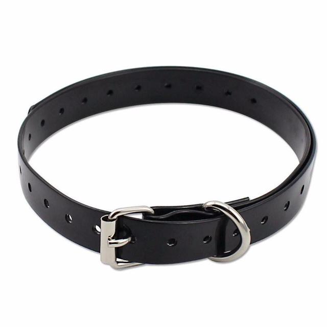Petrainer Anti Bark Collar