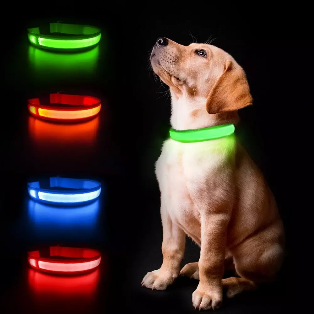 Dog Collar. LED. Safe Pet