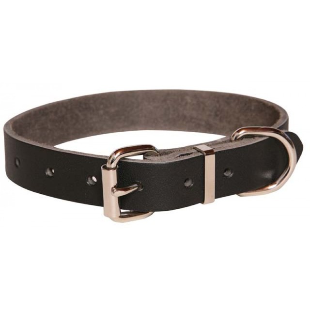 Heavy Duty Leather Dog Collar 25mm