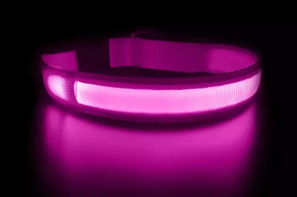 LED Dog Collars USB Rechargeable
