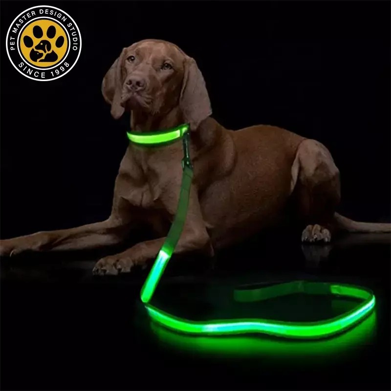LED Dog Leash - USB Rechargeable