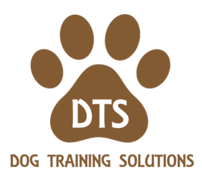 DOG TRAINING SOLUTIONS