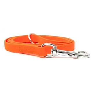 Dog Leads