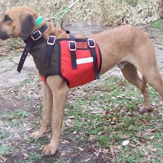 Defender Bay Vest