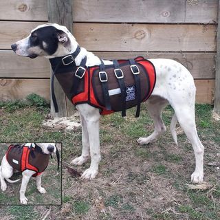 Defender Catch Vest