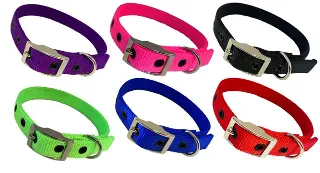 Taurus Nylon Dog Collars 19mm