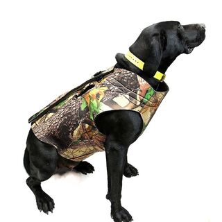 Neoprene Dog Vest